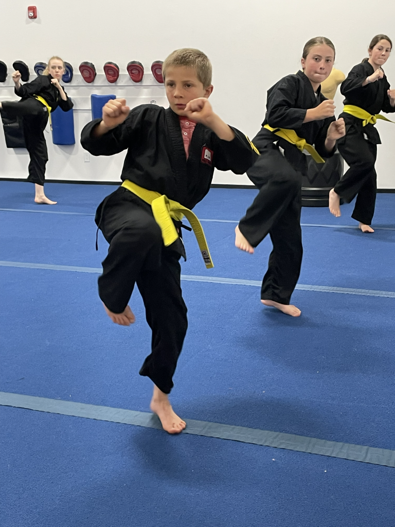 kung-fu classes for kids