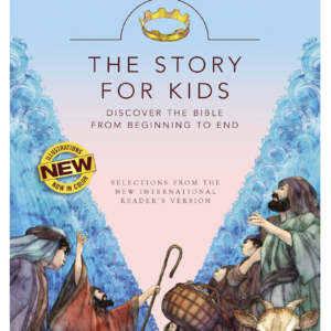 The Story Teen Bible