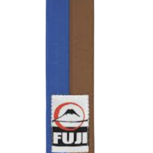 Belt - brown stipe
