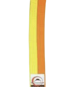 Belt - orange stripe
