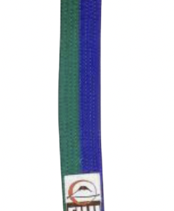 Belt - blue stripe